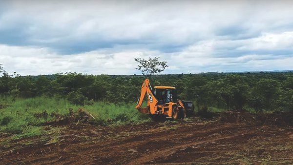 Landworx - Mikango - Land Clearing