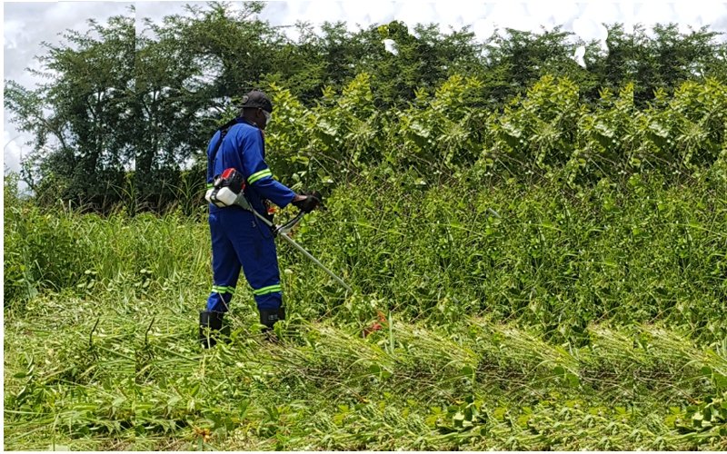 Landworx - Mikango - Land Clearing.jpg