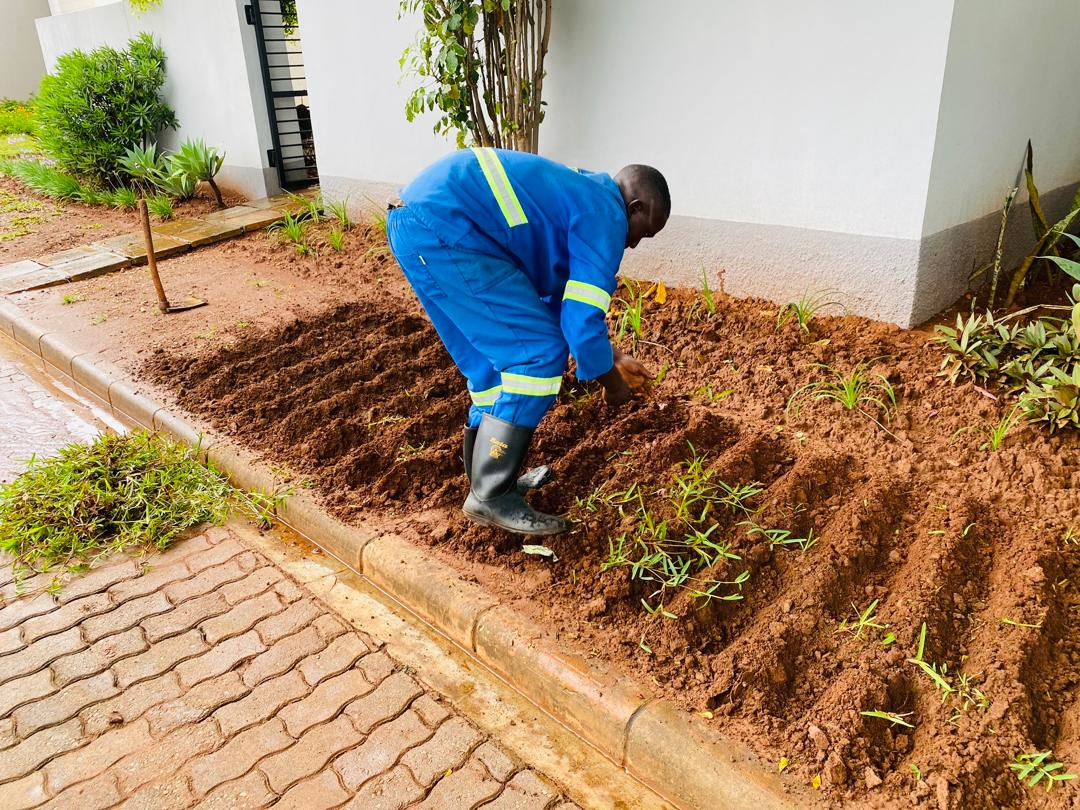 Landworx Zambia - Landscaping - Chifwema Landworx Zambia - Landscaping - New Kasama