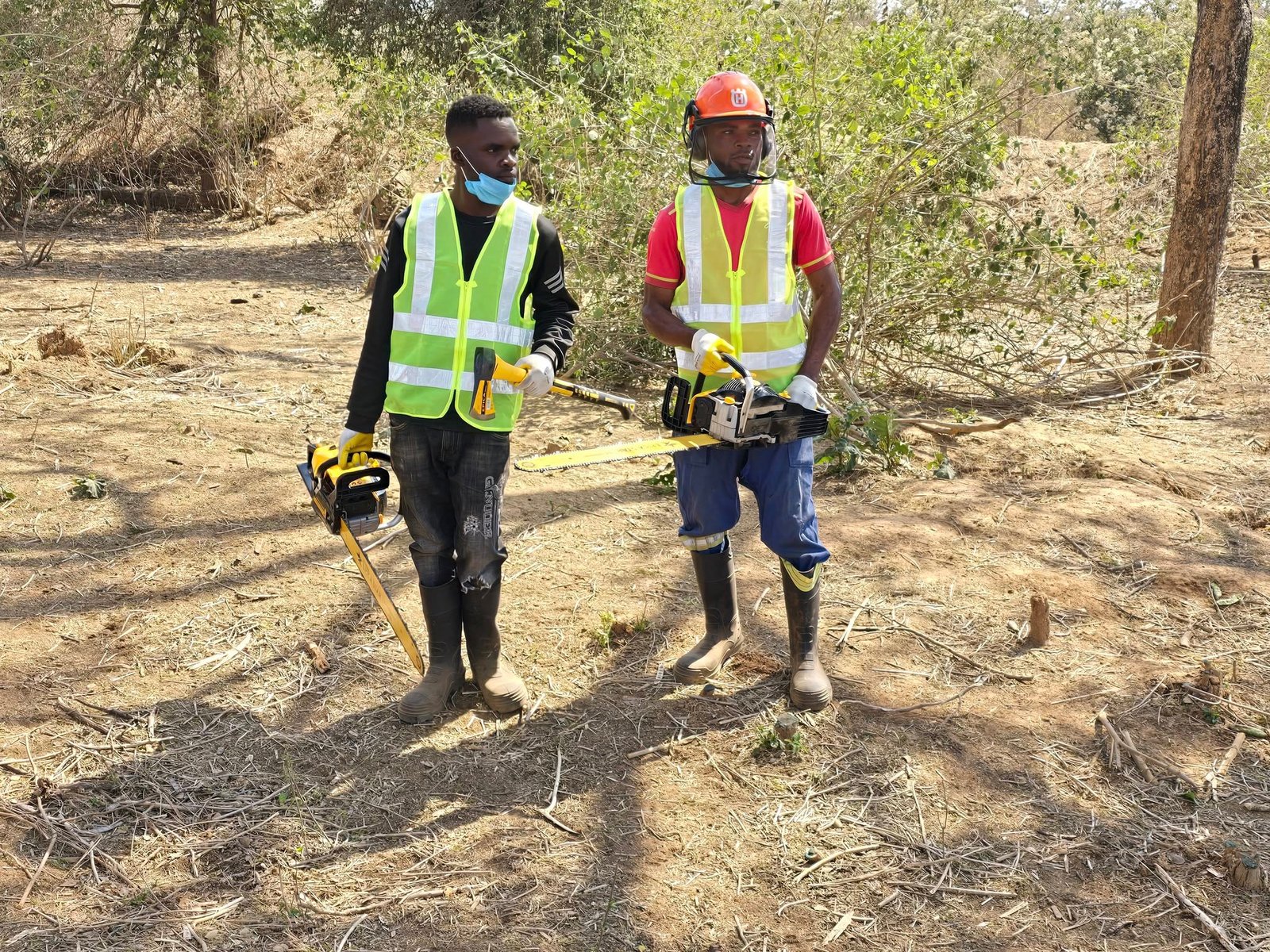 Land Clearing - Bush Clearing with Hand-held Tools