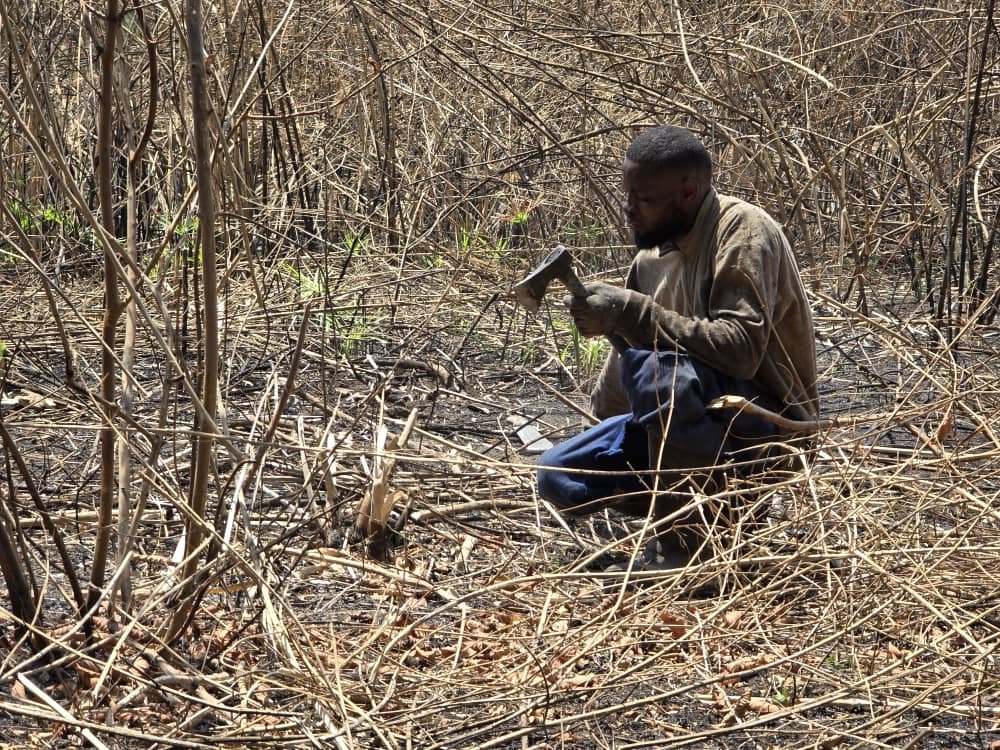 Bush Clearing in Chongwe, Lusaka