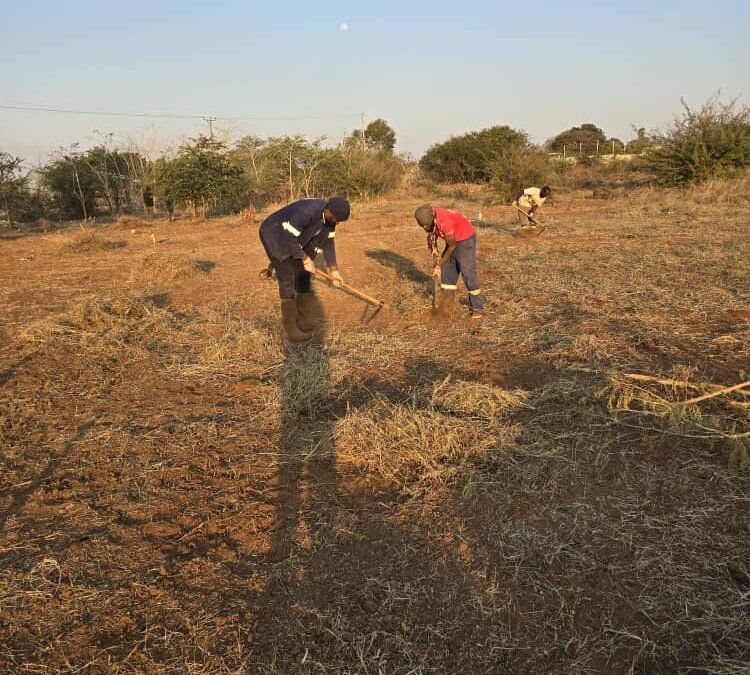 Land Clearing in Zambia: Understanding the Contributions of Agriculture, Mining, and Urbanization