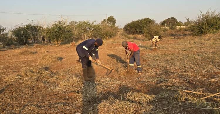 Land Clearing in Lusaka